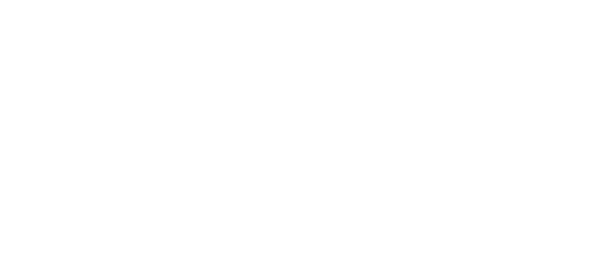 Libra Nine Logo White